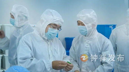 周軍帶隊赴南昌、上海開展精準招商考察 聚焦產業(yè)升級與項目合作