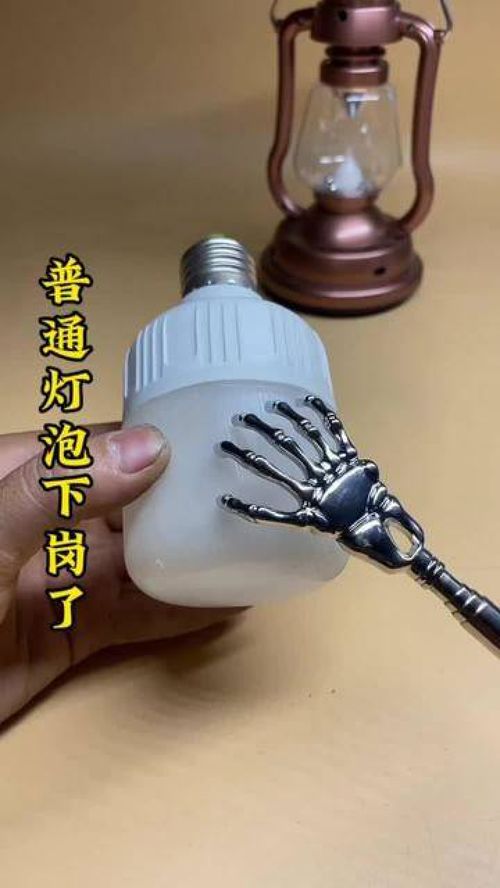 給愛寵與生活加點(diǎn)料 這些實(shí)用好物，獸醫(yī)也在用！